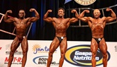 Arnold 2011