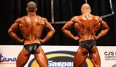 Arnold 2011