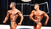 Arnold 2011