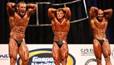 Arnold 2011