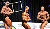 Arnold 2011