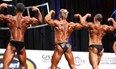 Arnold 2011