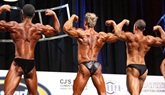 Arnold 2011