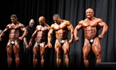 Arnold 2011