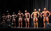 Arnold 2011