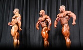 Arnold 2011