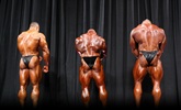 Arnold 2011