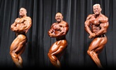 Arnold 2011