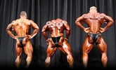 Arnold 2011