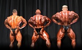 Arnold 2011