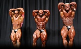 Arnold 2011