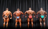 Arnold 2011