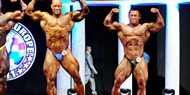 Fotos Arnold Classic Europe 2011