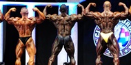 Fotos Arnold Classic Europe 2011