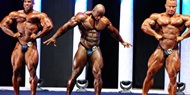 Fotos Arnold Classic Europe 2011