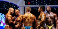 Fotos Arnold Classic Europe 2011