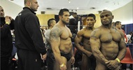 El Arnold Amateur 2012