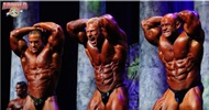 El Arnold Classic 2012