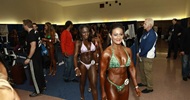 Presentaciones en el Arnold Festival 2012