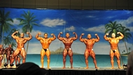 Europa Show of Champions 2013