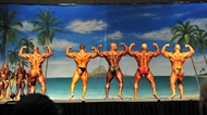 Europa Show of Champions 2013