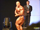 Fibo 2011