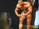 Fibo 2011