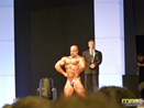 Fibo 2011