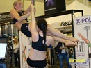 Fibo 2011