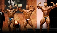 Las Finales del FIBO PRO 2012