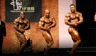 Las Finales del FIBO PRO 2012