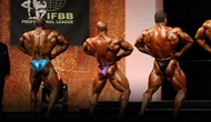 Las Finales del FIBO PRO 2012