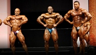 Las Finales del FIBO PRO 2012