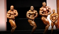 Las Finales del FIBO PRO 2012