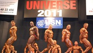 Finales NABBA 2011 - Reino Unido