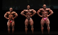 Fotos - IFBB Pro World Masters Championship 2011