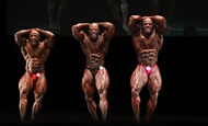 Fotos - IFBB Pro World Masters Championship 2011