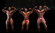 Fotos - IFBB Pro World Masters Championship 2011