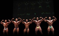 Fotos - IFBB Pro World Masters Championship 2011