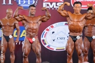 Los Campeonatos del Mundo de Guayaquil IFBB 2012