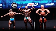 Evl´s Prague IFBB Pro 2012