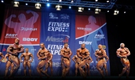 Nordic Pro IFBB 2012