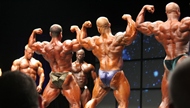 Los Gigantes del Toronto PRO 2012