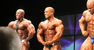 Los Gigantes del Toronto PRO 2012