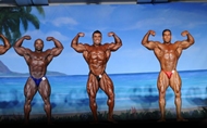 El Valenti Gold IFBB 2012