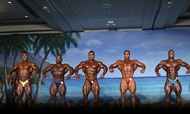 El Valenti Gold IFBB 2012