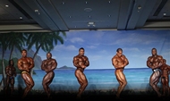 El Valenti Gold IFBB 2012