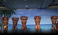 El Valenti Gold IFBB 2012