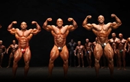 Masters Olympia 2012