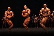 Masters Olympia 2012